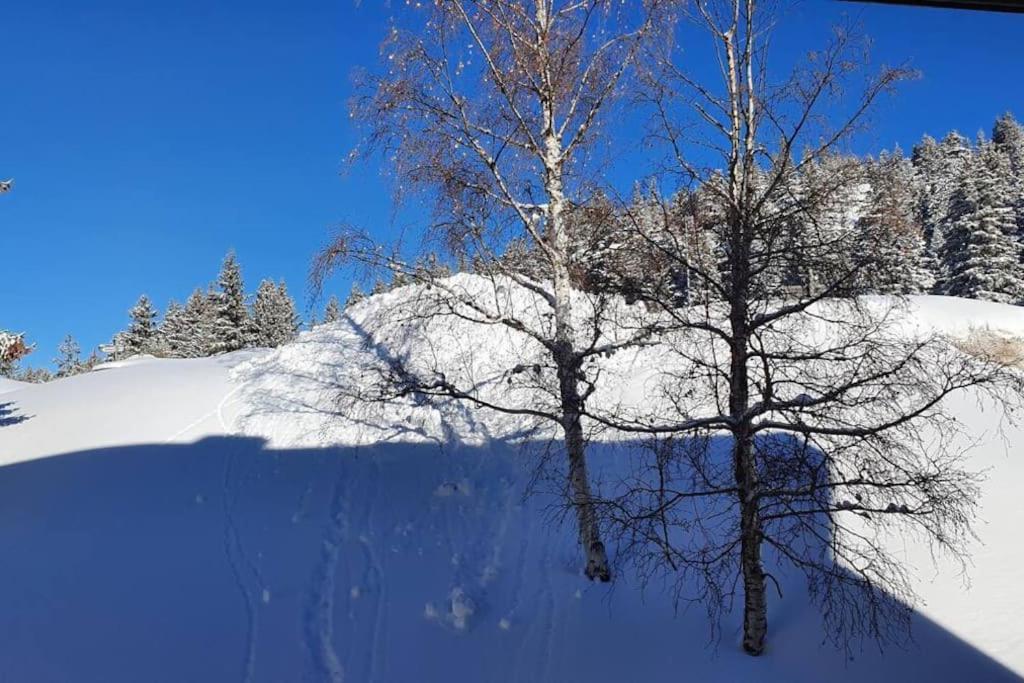 La Parenthese Chamroussienne - Proche Pistes De Apartment Chamrousse