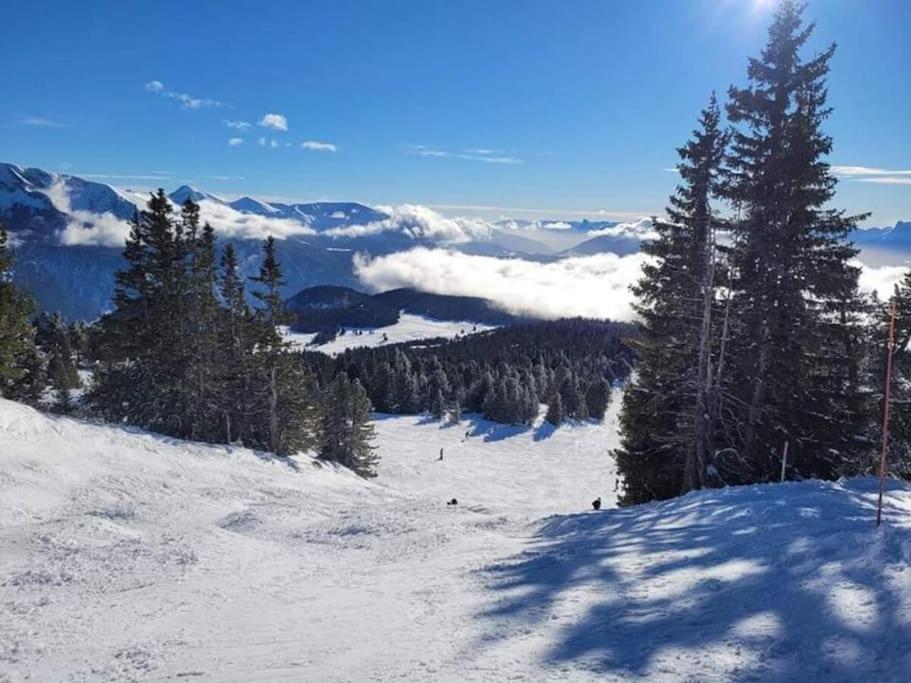 La Parenthese Chamroussienne - Proche Pistes De *